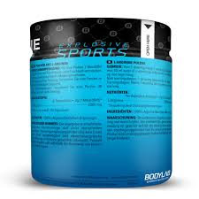 Doch was ist hierunter zu verstehen? Arginine Powder 500g Von Bodylab24 Kaufen Bodylab24 Shop