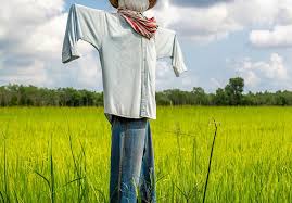 BUILD A SCARECROW DAY - July 5, 2026 - National Today