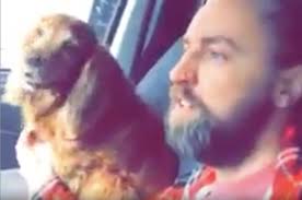 Watch: Man finding lovely stray dog in the Rhondda goes viral