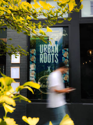 At Urban Roots, the Brisket Tacos aren't just an option – they're a staple!  Come in and taste why they're always on our menu. 🌮