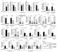 Learn how this test works and how it can help your doctor diagnose you. Breast Cancer Cells Rely On Environmental Pyruvate To Shape The Metastatic Niche Abstract Europe Pmc
