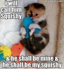 Funny Animal Pictures Of The Day 24 Pics Funny Cat Memes Funny Animal Pictures Funny Animal Quotes