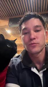 Celebrating My Diva Cat: A Celebrity in the Making