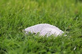 Branntkalk m (genitive branntkalks, plural branntkalke). Branntkalk 7 Tipps Zur Verwendung Im Garten Hausgarten Net