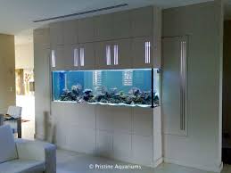 Aquarium Wall Aquarium Fish Home Home Aquarium