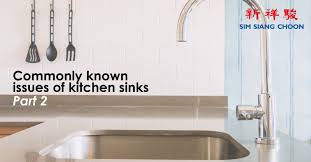 commonly known issues of kitchen sinks