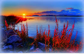 Hd wallpapers and background images Desktop Background Summer Wallpapers Novocom Top