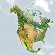 About 6,280 results (1.06 seconds). Satellite Mappers Have North America Covered