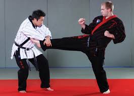 Maybe you would like to learn more about one of these? What Martial Art Should I Learn First For Mma Combat Sport Events