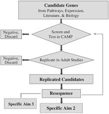 Maybe you would like to learn more about one of these? Overview Of The Pharmacogenetics Of Asthma Treatment The Pharmacogenomics Journal