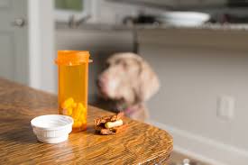 Can I Give My Dog Aspirin A Guide To Aspirin For Dogs