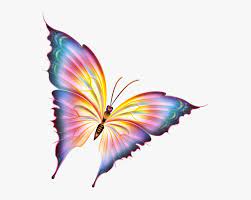 Psd files, png images, clipart, graphic, clothes, photoshop background, texture, brush, gradient, shape, action, font. Growth Clipart Butterfly Beautiful Butterfly Pictures Png Transparent Png Transparent Png Image Pngitem