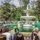 Greening of the Fountain
