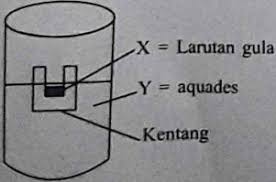 Berikut kami upload soal olimpiade biologi sma tingkat provinsi tahun 2017. Soal Dan Pembahasan Biologi Un Sma Tahun 2018 No 1 10 J4wab