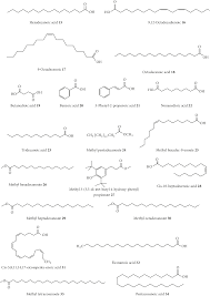 Image result for Elephantorrhiza goetzei