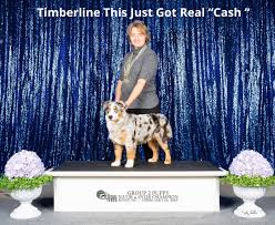 If buyer is sending contract and deposit via postal service, seller will hold subject puppy for five (5) days pending receipt of deposit. Non Refundable Deposit Contract My Little Aussies Mountain View Minis