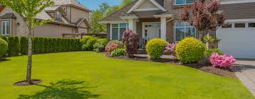 Does your lawn grow out of control, forcing you to. Lawn Care Landscaping The Grounds Guys