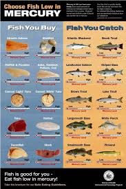 Fish Is One Of The Best Sources Of Protein But Watch Out