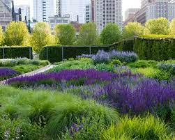 millennium park in chicago find park info art events tours garden landscape design dutch gardens landscape design