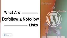 What Are Dofollow And Nofollow Links (Key Difference) 2024