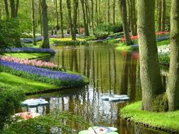 Keukenhoff Netherlands Have Visited Twice Acres And Acres Of Tulips Beautiful Places Beautiful Nature Oh The Places You Ll Go
