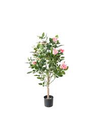 When pruning tree roses, you want to achieve 2 things: Artificial Rose Tree Pink 100cm Artificial Plants Shop