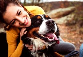 Dogs and cats are from different species of animals, appealing to different types of people. 99 Amazing Dog Trivia Questions Answers Facts