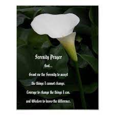 Serenity Prayer Fluted Calla Lily Floral Photo Poster Zazzle Com Serenity Prayer Poster Serenity Prayer Floral Photo