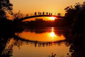 A cidade de são paulo sofreu grandes transformações nos últimos 100 anos. Bilder Parque Do Ibirapuera In Sao Paulo Brasilien Franks Travelbox