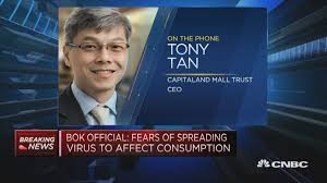 Former capitaland chief executive lim ming yan has been elected chairman of the singapore business federation (sbf). Capitaland Mall Trust Capitalland Commercial Trust Merger