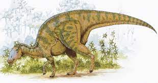Plant Eating Dinosaur Ate Pine Needles And Ignored Flowering Plants Prehistoric Animals Prehistoric Wildlife Prehistoric Creatures