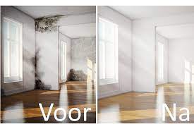 Zwarte schimmel in badkamer schimmel badkamer verwijderen vochtbestrijding snel, schimmel foto12 zwarte schimmel b team, schimmel in de badkamer schimmel badkamer plafond, zwarte. Schimmel Verwijderen In Huis Op Plafond En Op Muur 2021