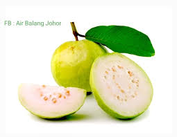Batu caves es batu batu pahat batu karang batu kawan batu gajah batu khan. Resepi Air Jus Jambu Batu Bahan Air Balang Johor Facebook