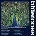 EVERYWHERE AT ONCE: THE DOORS RISING