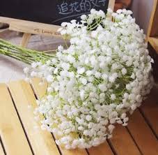Snowflake baby's breath with double white flowers, hundreds in a spray. Informasi Harga Bunga Baby Breath Dan Tempat Membelinya Wedding Table Flowers Wedding Party Bouquets Gypsophila Flower