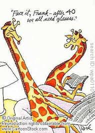 Giraffe Humor Optometry Humor Funny Giraffe Eye Jokes