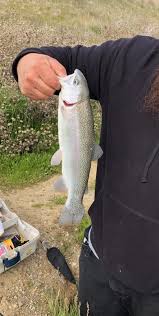 We did not find results for: Los Vaqueros Reservoir Ca Fishing Reports Map Hot Spots