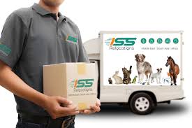 Pet transport that cares as much as you do. Pet Relocations Services In Dubai Uae Pet Relocation Relocation Services Relocation