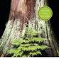Read-y or Not Book Group