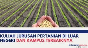 Sejak awal gerakan politik di malaysia memang bercirikan politik identitas. Kuliah Jurusan Pertanian Di Luar Negeri Dan Kampus Terbaiknya