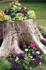Un Tronc D Arbre Des Fleurs Rien Que Du Bonheur Decoration Jardin Jardins Idees Jardin