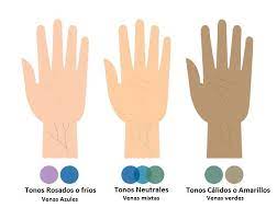 Que Es El Subtono De Piel Tonos De Piel Tono De Piel Neutral Colores Labios
