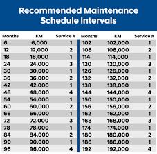 hyundai maintenance tips hyundai service toronto hyundai