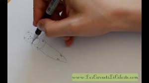 Comment dessiner la cigale et la fourmi ? - Theme.fm