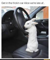 Get In The Frickin Car Alice We Re Late Af Ifunny Funny Car Memes Funny Memes Memes