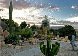 It will tolerate lower light conditions, but thrives in sun, and needs very little water. Prickly Cactus Species Under Threat Bbc News