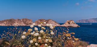 Visit us calle illes baleares, 24 polígono son bugadelles 07180 santa ponsa opening hours: 18 Great Ways To Enjoy Santa Ponsa Discover Mallorca