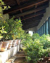 Yolanda Edwards On Instagram The Corsini Garden In The Winter When The Lemons Leave Their Posts In The Main Garden Structures Garden Room Beautiful Gardens