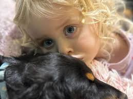 Fundraiser for Brendan Horne by Brittany Mason : Help 3-Year-Old Annabelle  Fight Leukemia