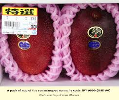 $5,000 mango at auction ー but why? Japan Egg Of The Sun Mango How Can A Fruit Be Worth Usd 2 000 Tfnet International Tropical Fruits Network